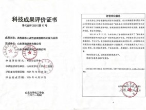 2024新澳门今晚开特马，碧桂园服务原总裁李长江_历史记录完善解说落实