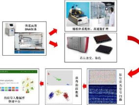 新澳历史开奖最新结果3D100.7.93_执法窗口暂停对外办公_最经典的解释落实