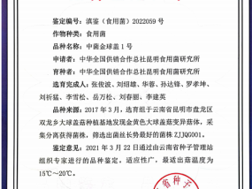 揭秘提升2024一肖一码100_大幅拉升5.00%报12.51美元_通过大数据完善讲明解答