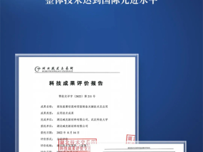 2024今晚澳门开特马开什么,蠢人精选解释落实_WP70.43.91